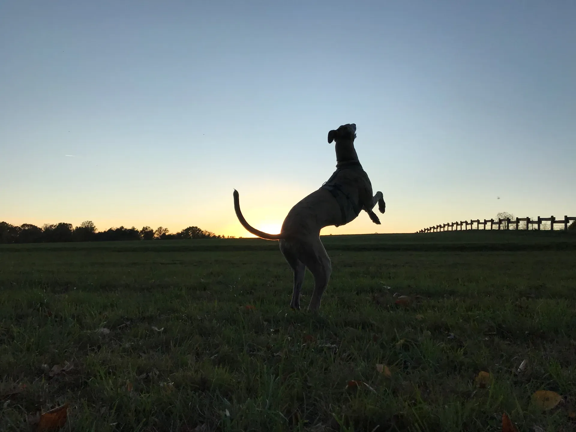 IMG 6753 06 08 18 21 44