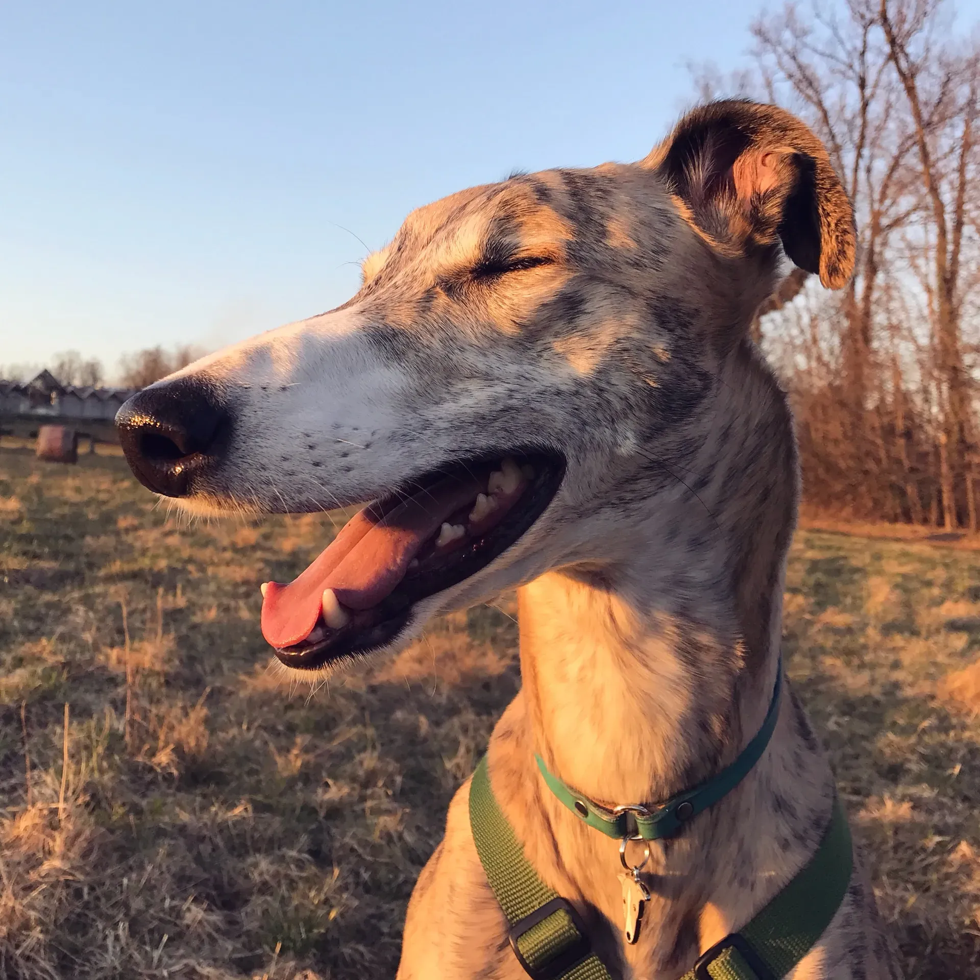 IMG 6767 06 08 18 21 44