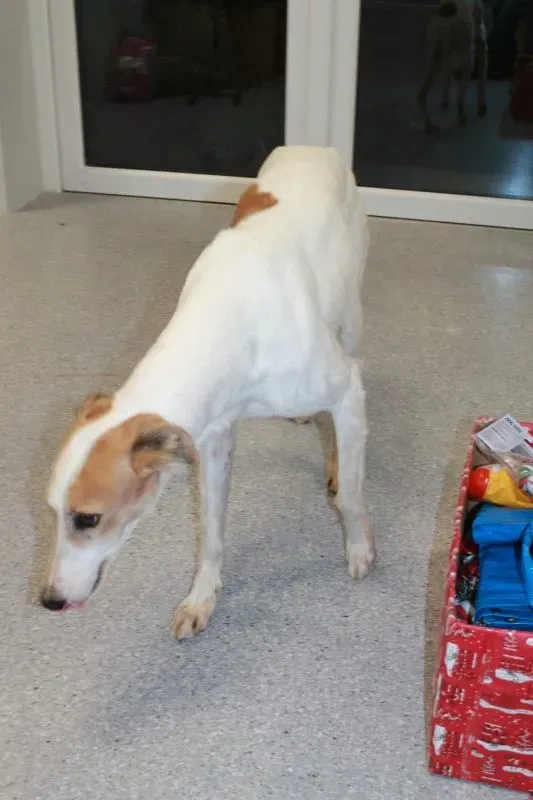 IMG 6849 e1483641132530