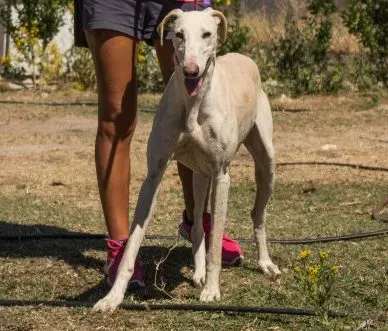 IMG 6935LR e1474402013997