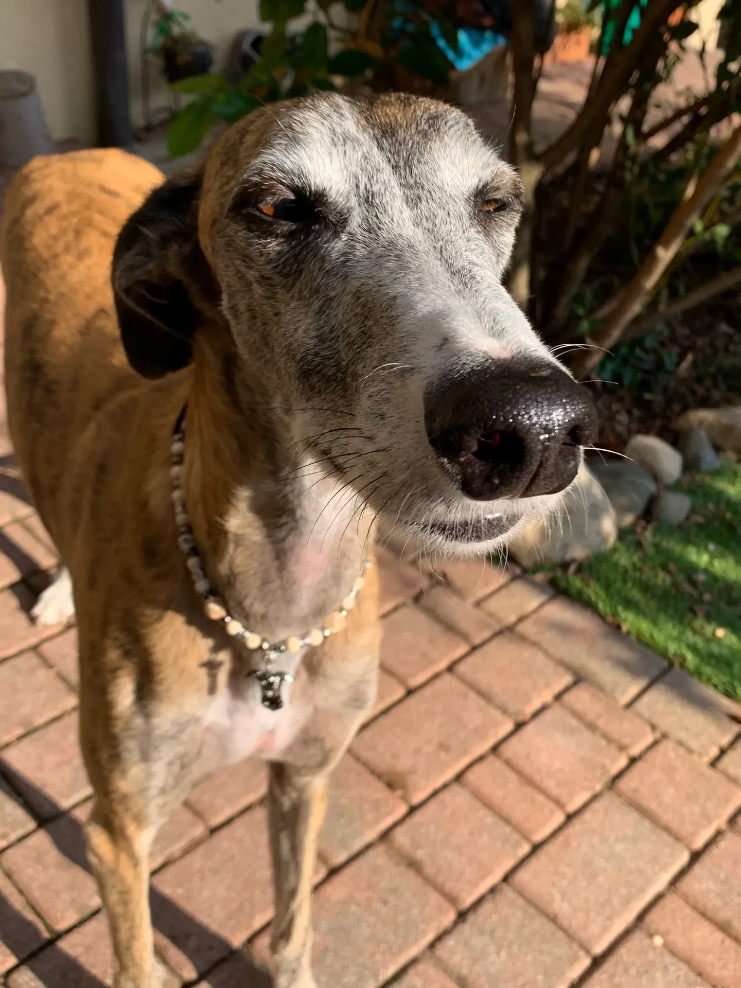 IMG 7319 09 11 19 14 32