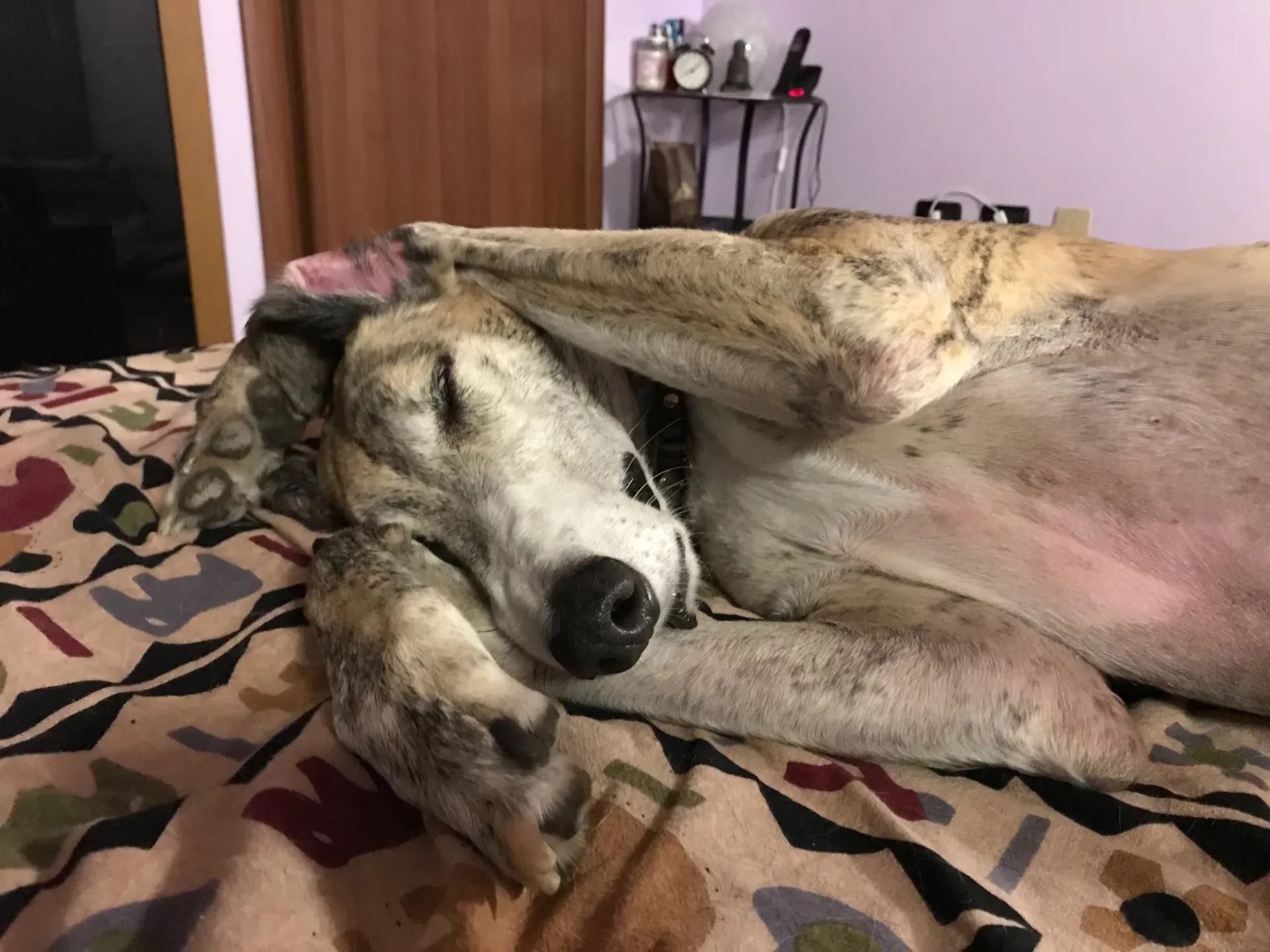 IMG 7900 06 08 18 21 44