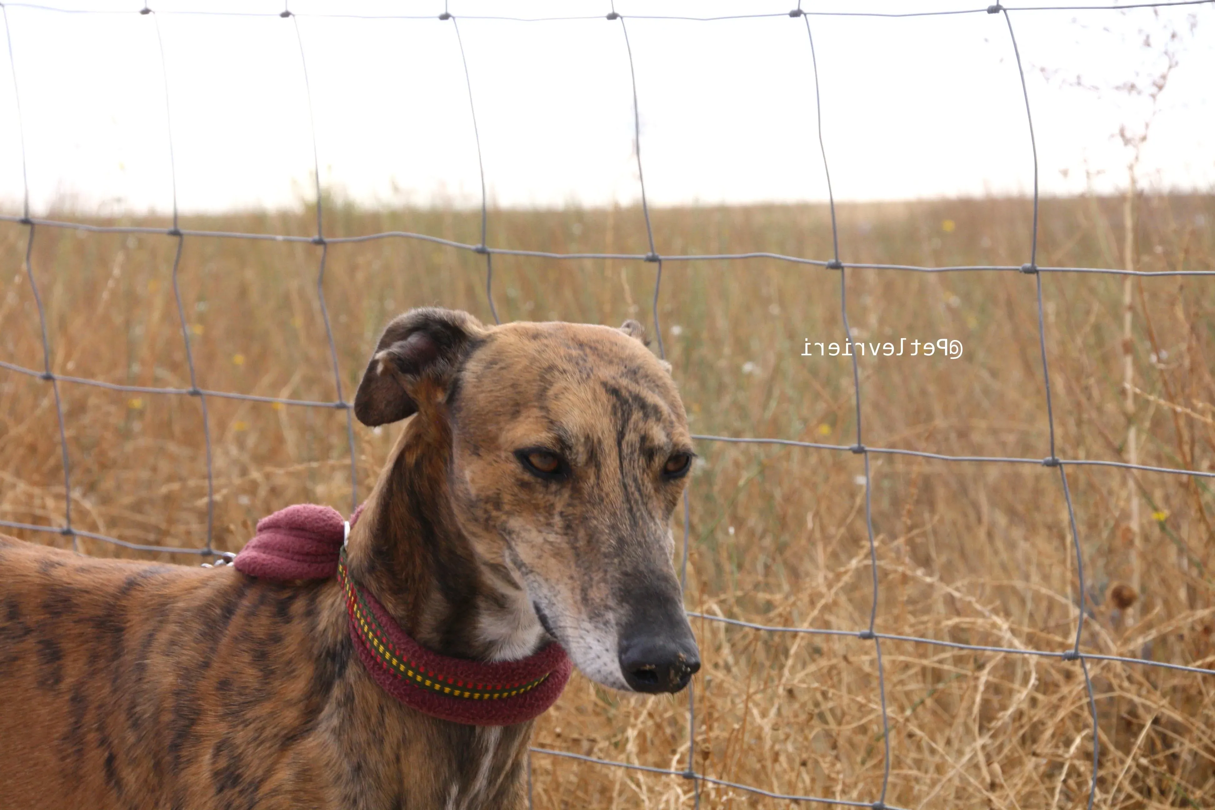 IMG 7925 1 e1542867391623