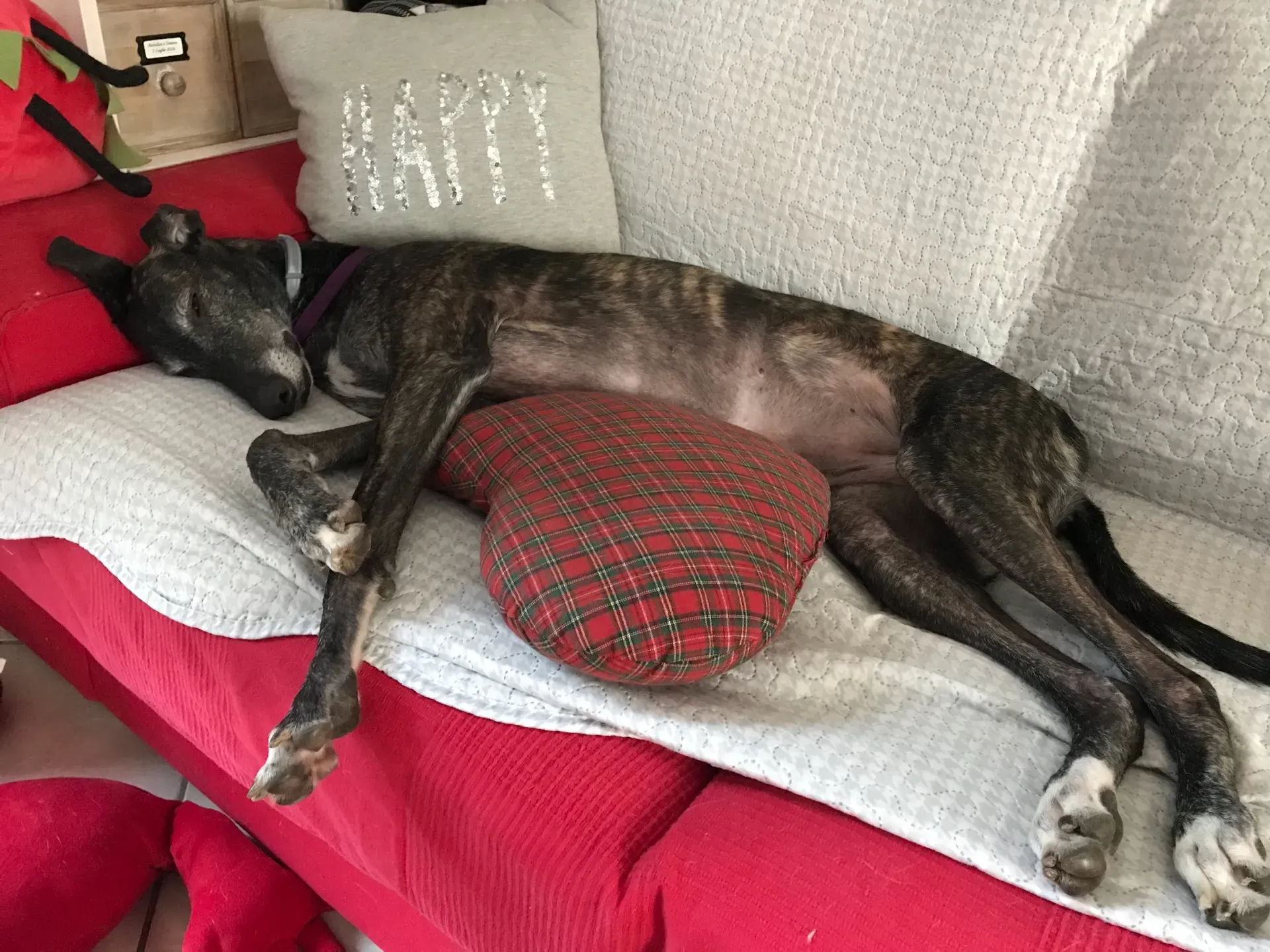 IMG 7951 06 08 18 21 50 1