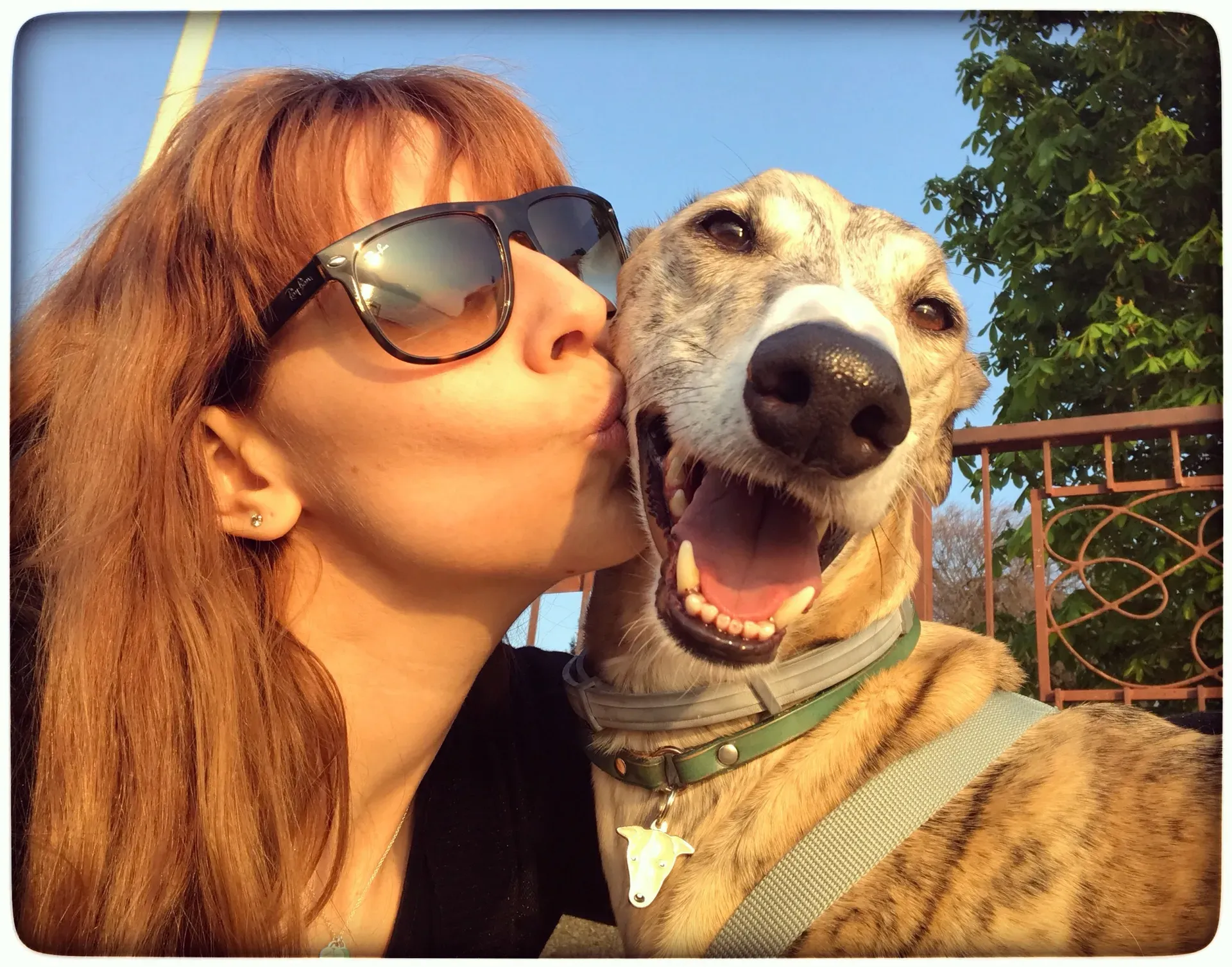 IMG 8680 06 08 18 21 44