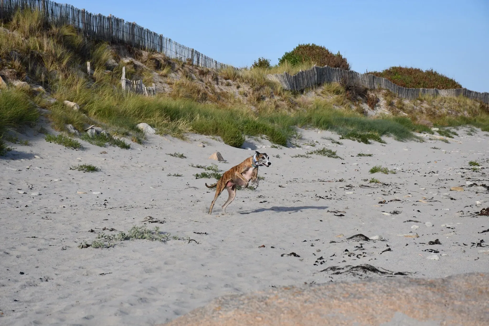 IMG 8884 09 11 19 14 32