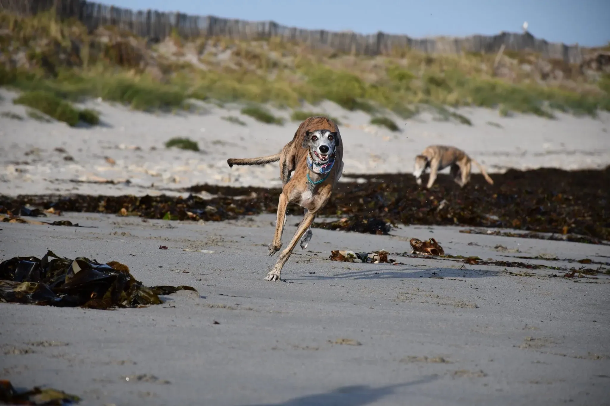 IMG 8885 09 11 19 14 32