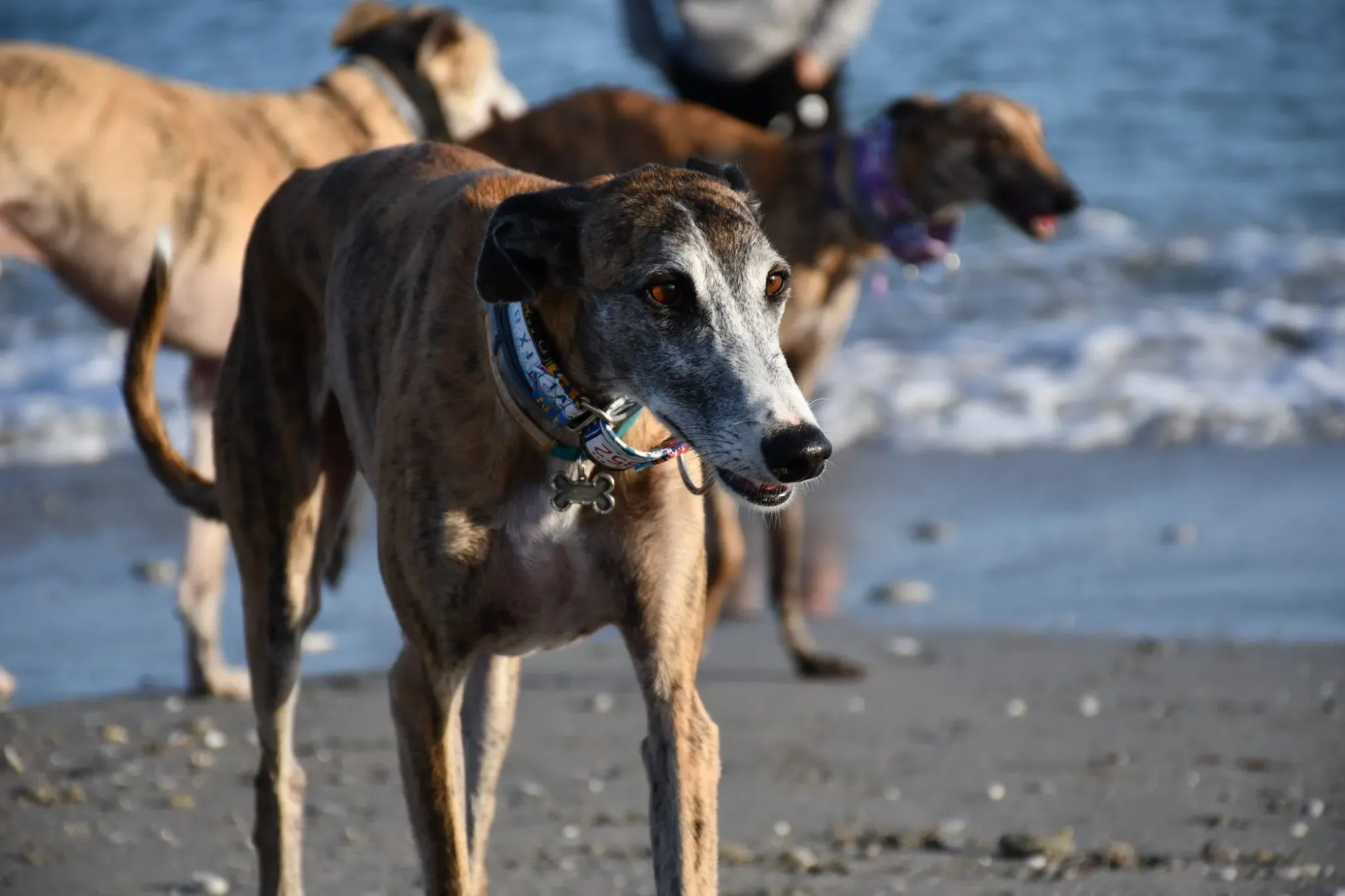 IMG 8887 09 11 19 14 32