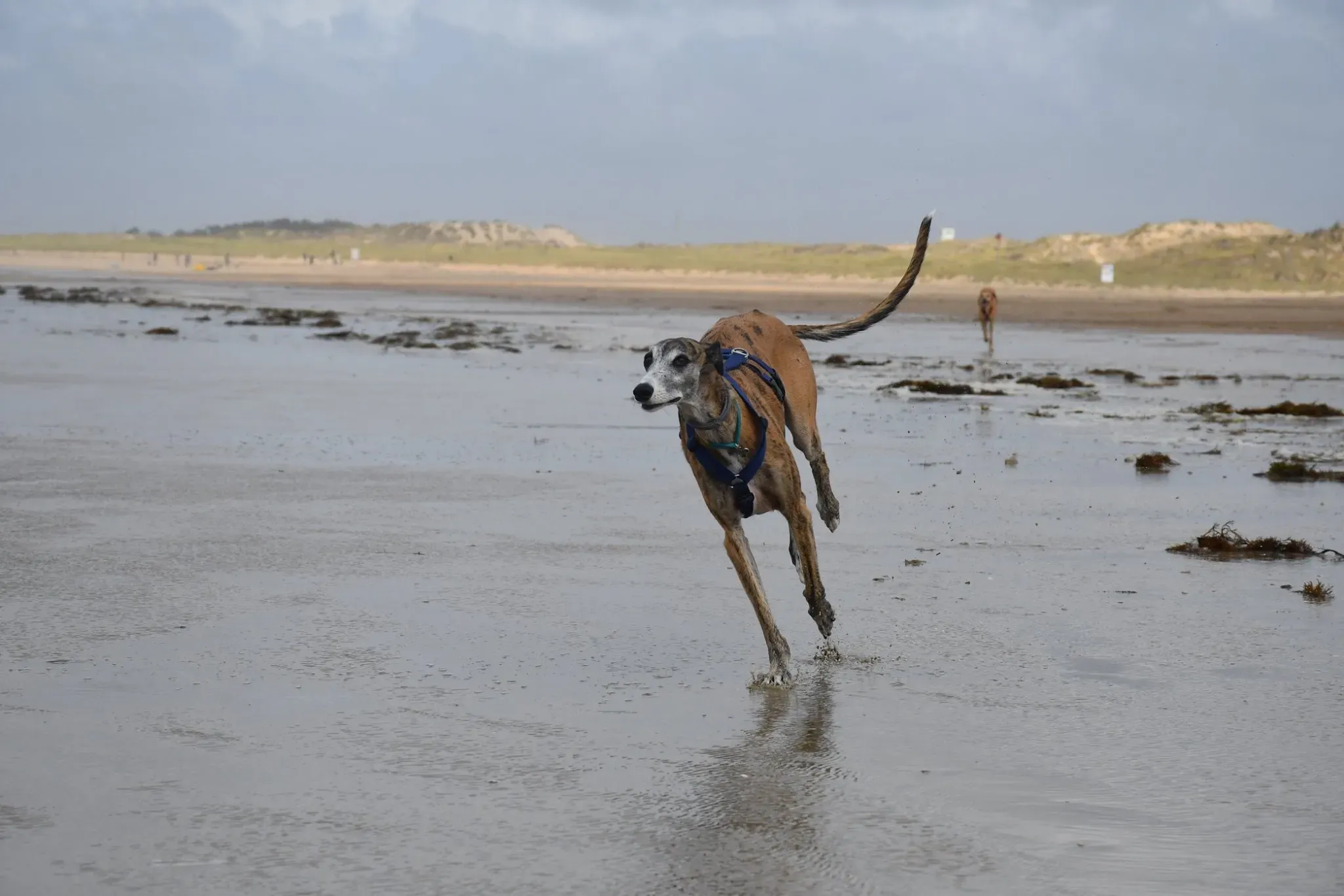 IMG 8888 09 11 19 14 32