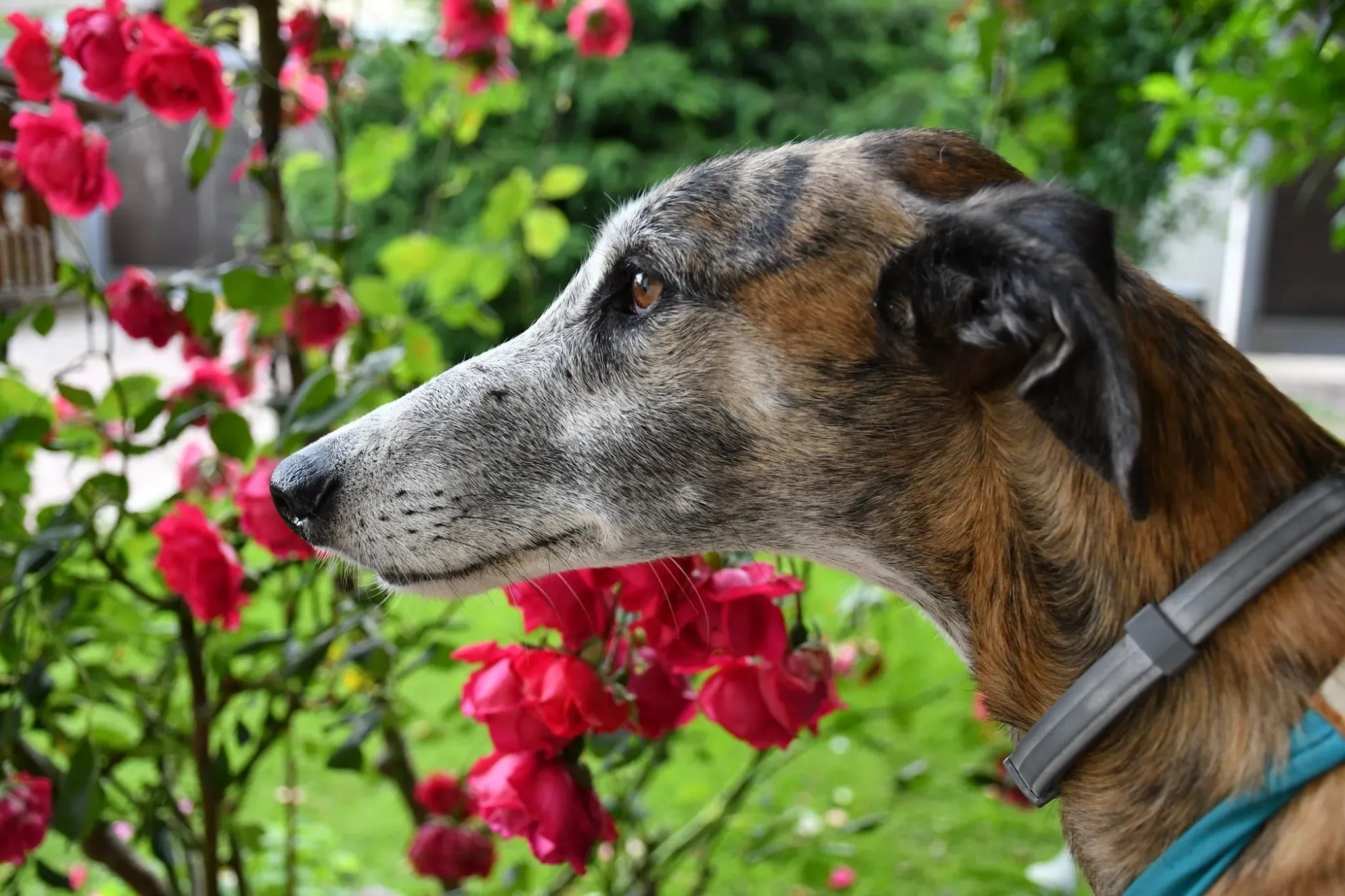 IMG 8892 09 11 19 14 32