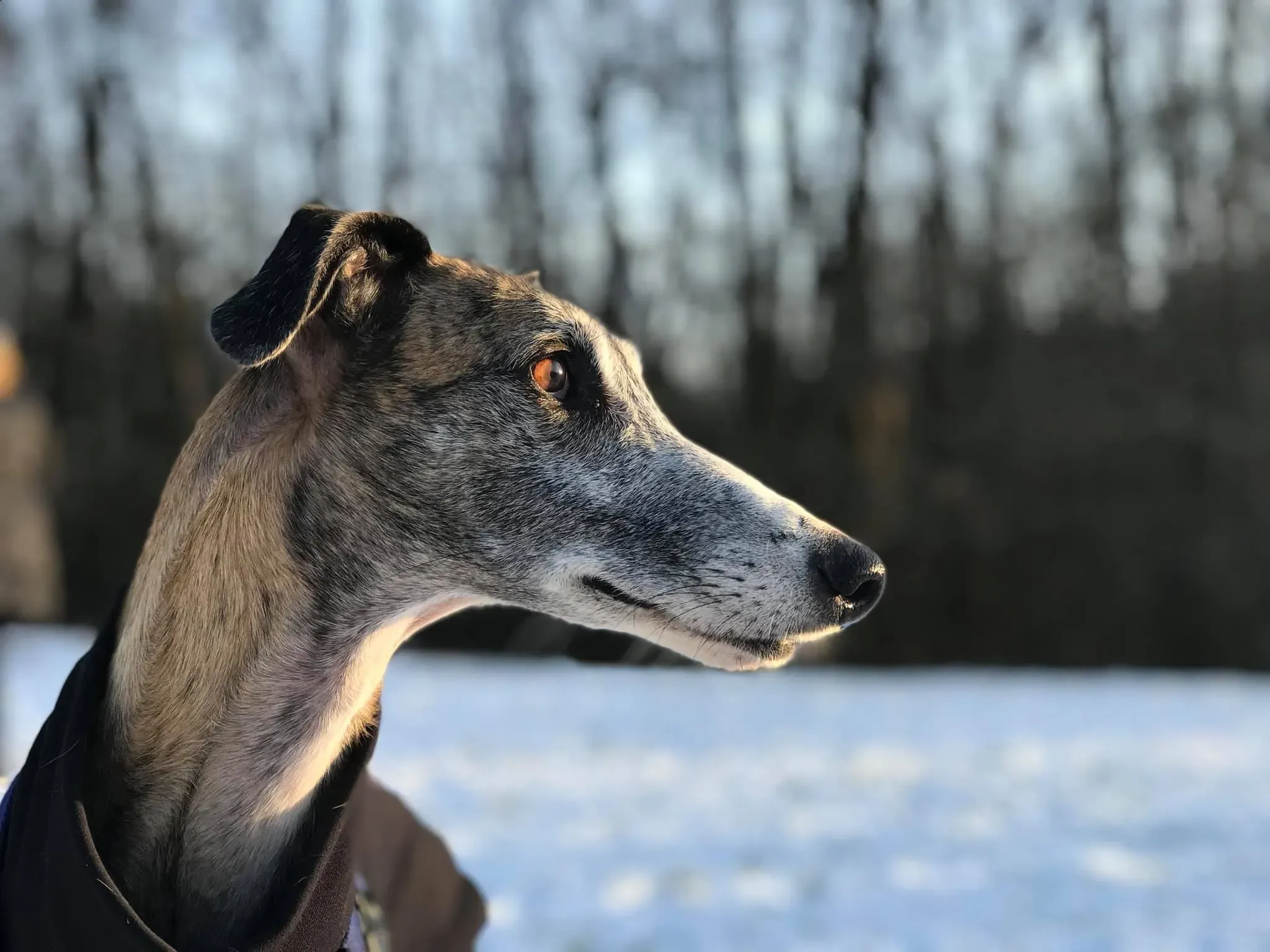 IMG 8895 09 11 19 14 32