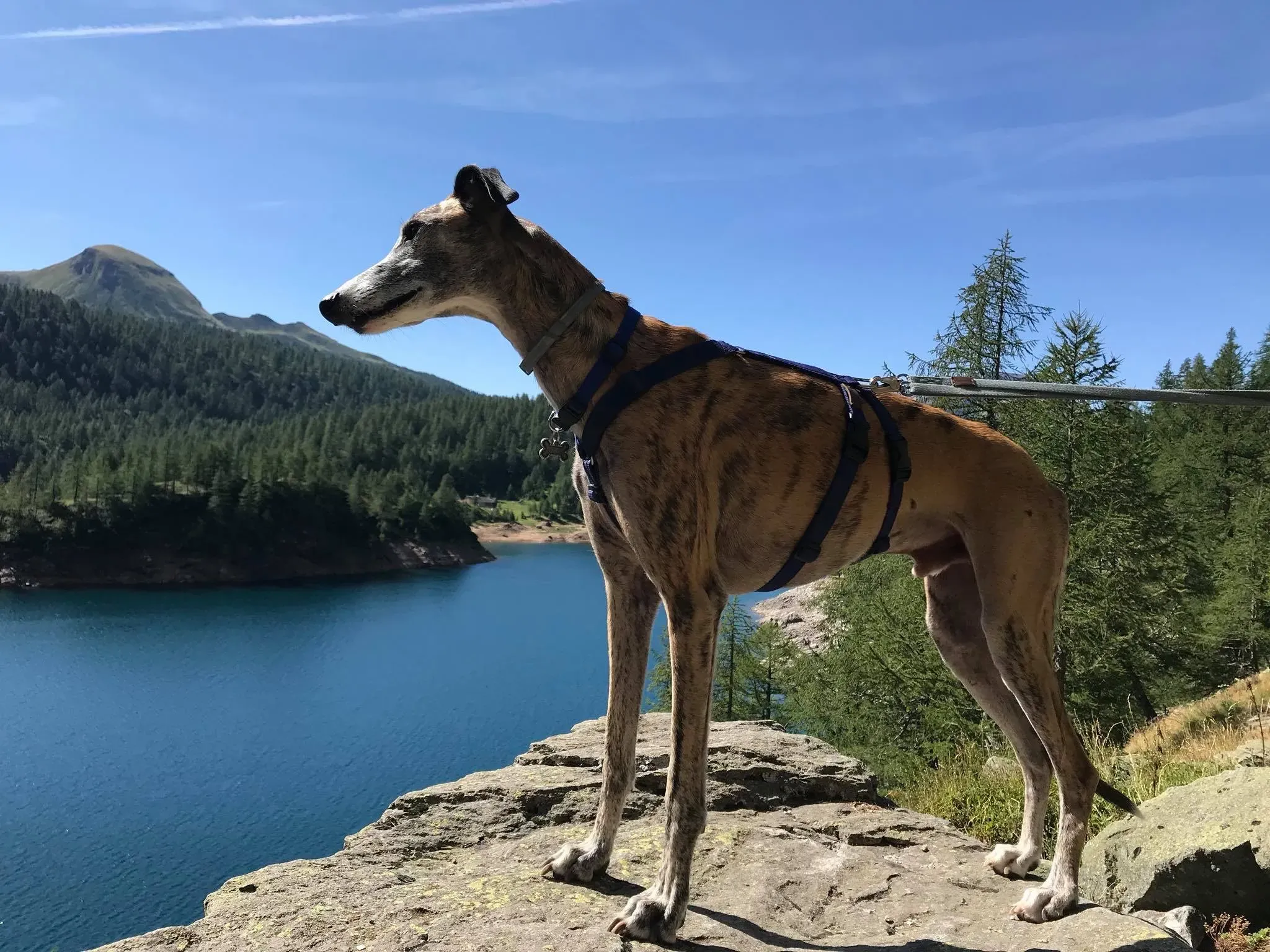 IMG 8897 09 11 19 14 32