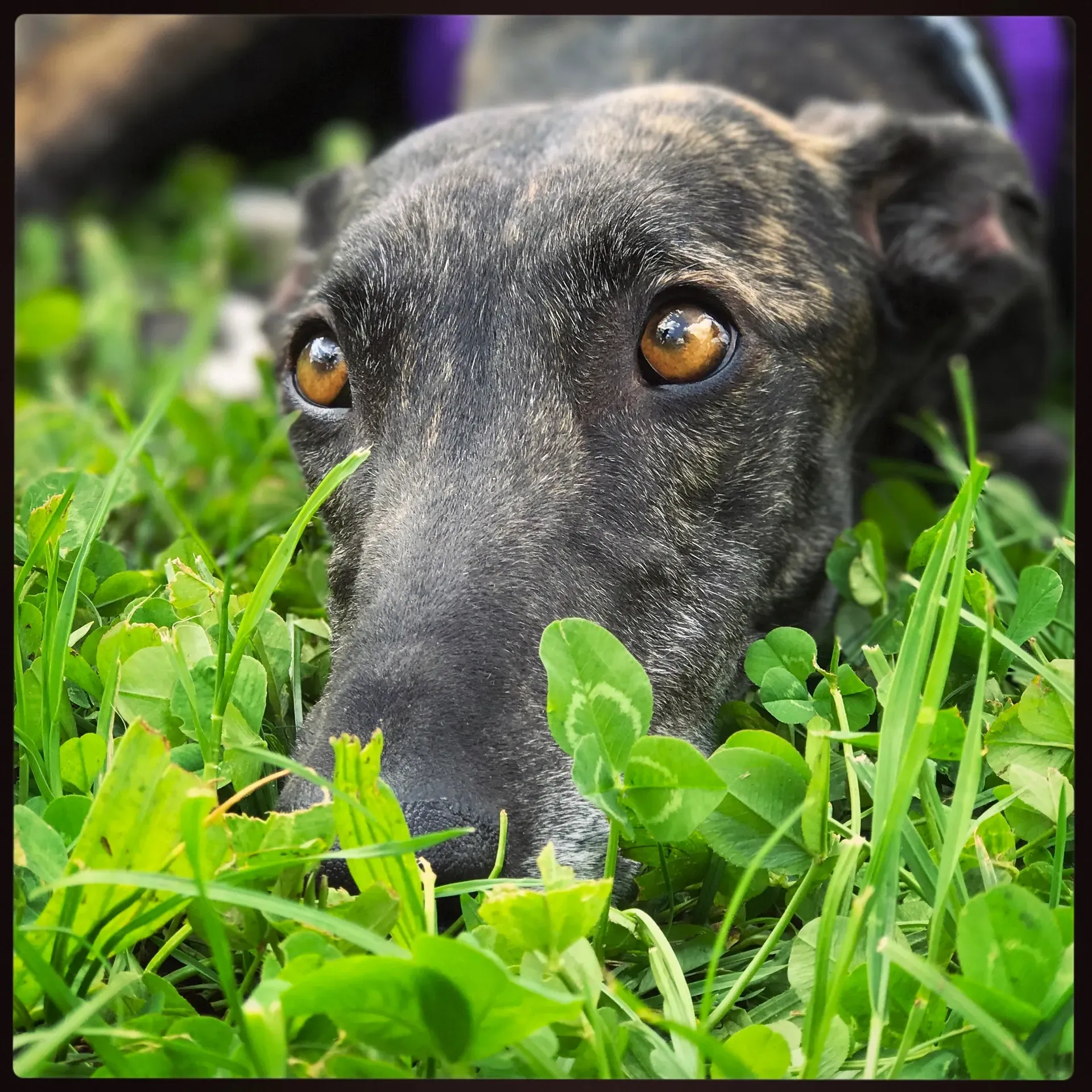 IMG 9067 06 08 18 21 50 1