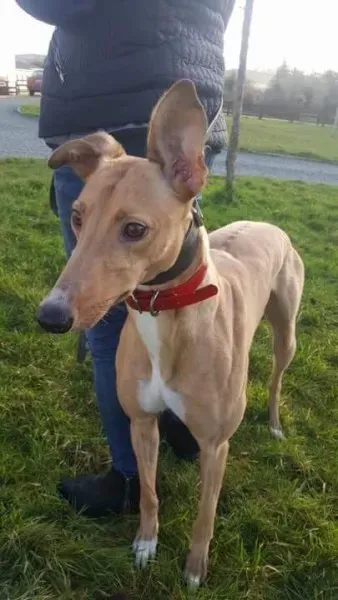 IMG 9953 23 01 18 21 04