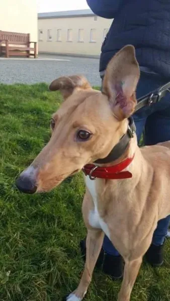 IMG 9954 23 01 18 21 04