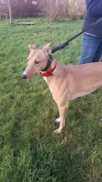 IMG 9955 23 01 18 21 04