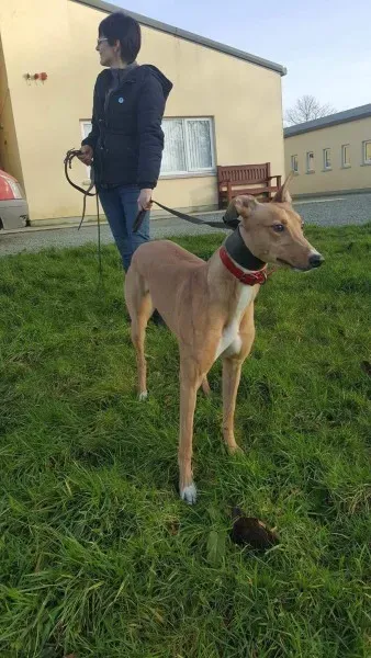 IMG 9956 23 01 18 21 04