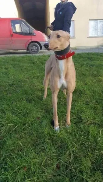 IMG 9957 23 01 18 21 04