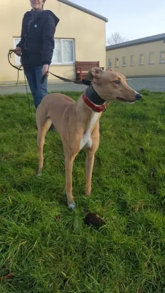 IMG 9958 23 01 18 21 04