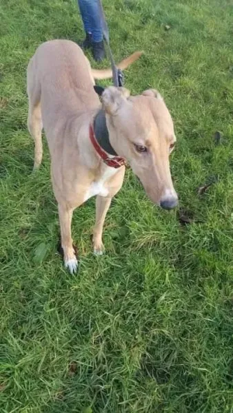 IMG 9959 23 01 18 21 04