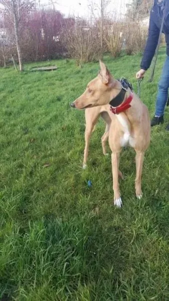 IMG 9960 23 01 18 21 04