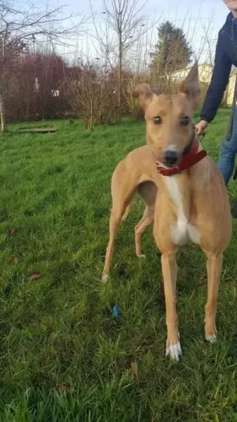 IMG 9961 23 01 18 21 04