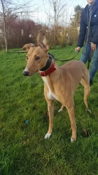 IMG 9962 23 01 18 21 04