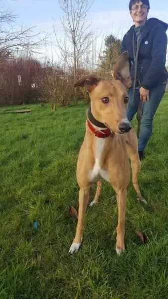 IMG 9963 23 01 18 21 04