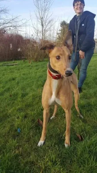 IMG 9964 23 01 18 21 04