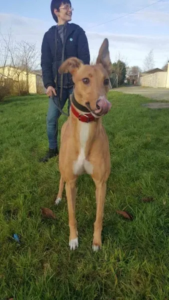 IMG 9965 23 01 18 21 04