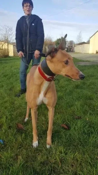 IMG 9966 23 01 18 21 04