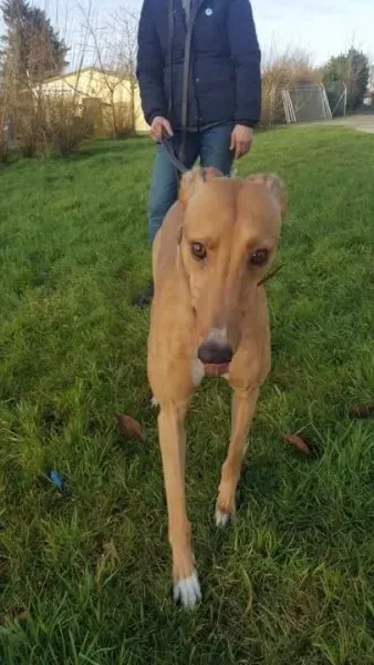 IMG 9967 23 01 18 21 04