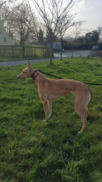 IMG 9968 23 01 18 21 04