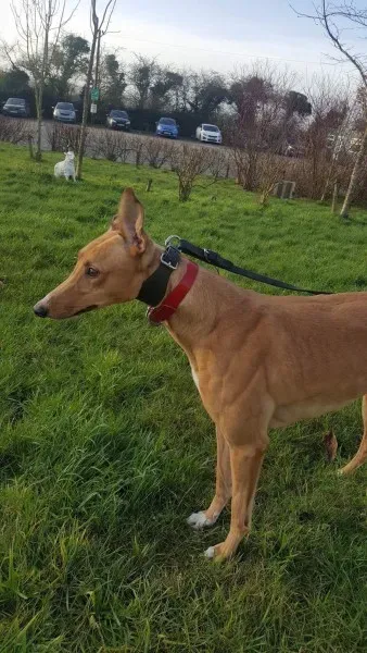 IMG 9969 23 01 18 21 04