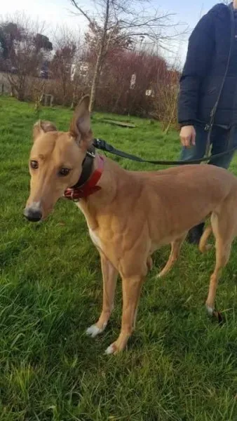 IMG 9970 23 01 18 21 04