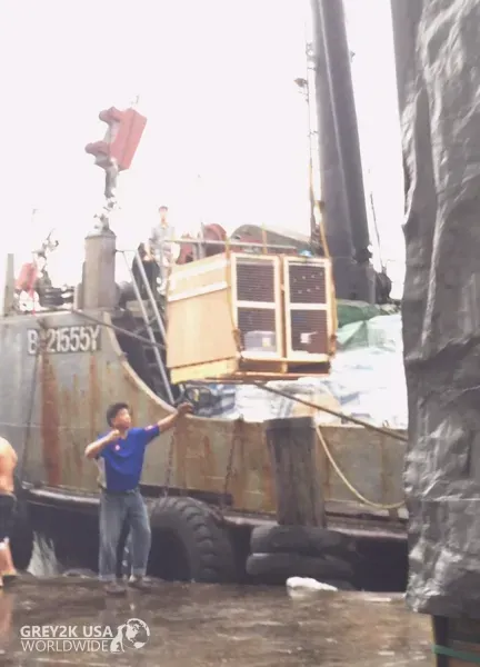 IRISH DOGS 6 UNLOADED IN MACAU PORT APRIL 15 2016