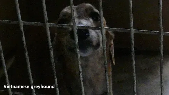 IkrasxdfNRmnyVU 800x450 noPad