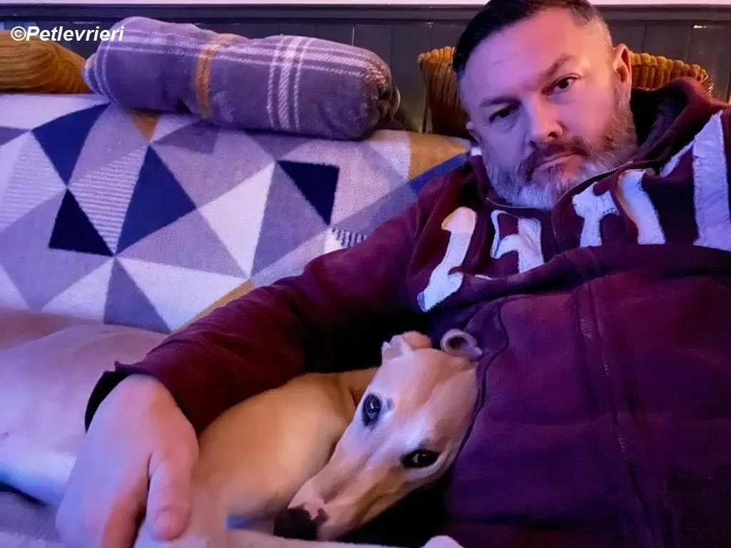 Io adozione levrieri greyhound 39