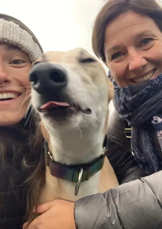 Io adozione levrieri greyhound 9