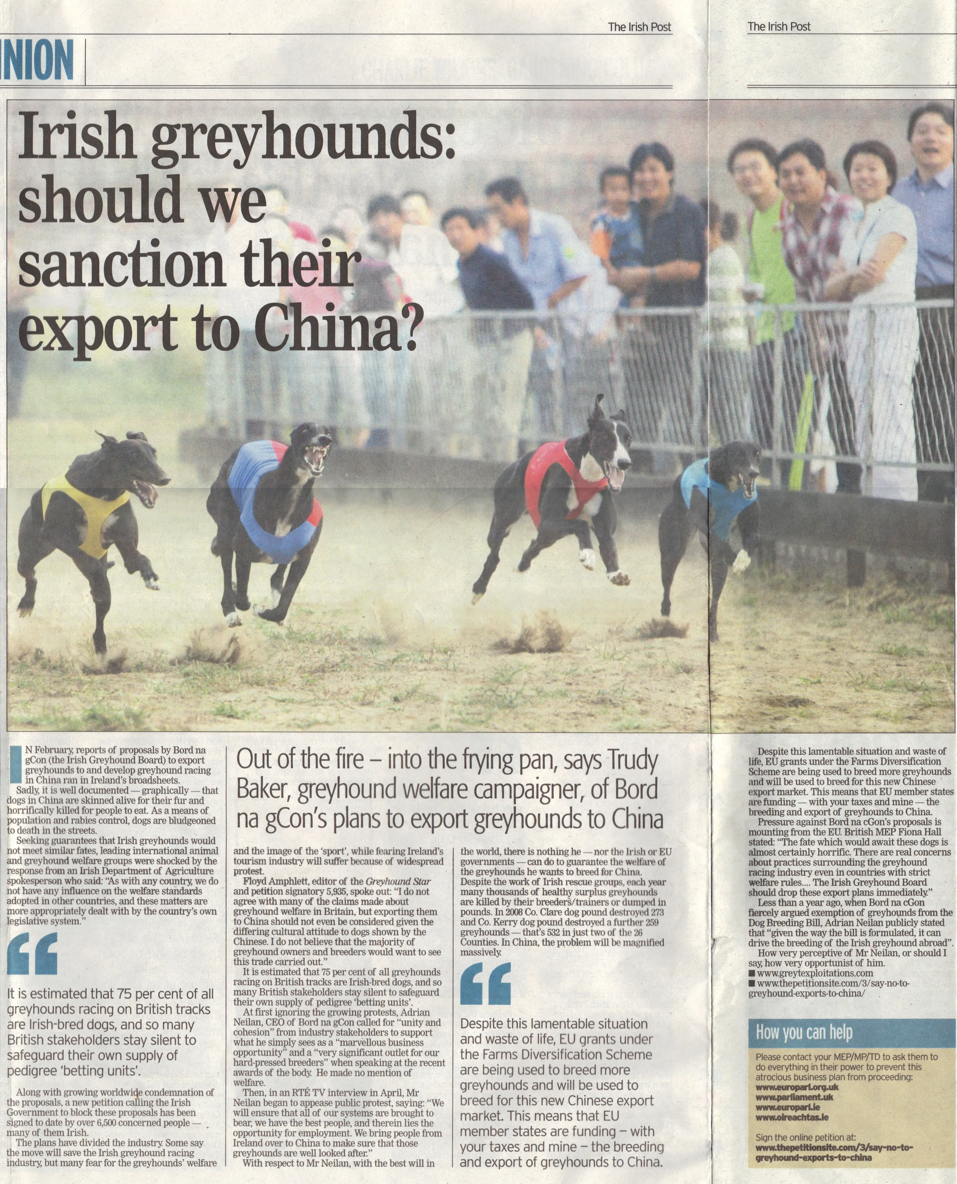 Irish Post opinion May 2011