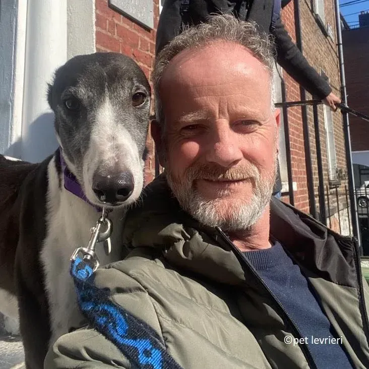 Jojo adozione levriero greyhound13 e1649672977976