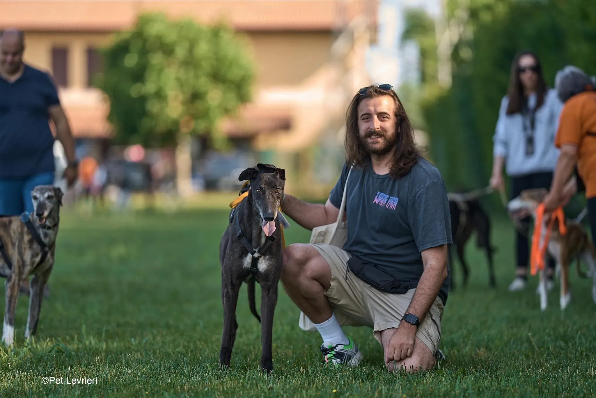 Joseph adozione levrieri greyhound arrivo in Italia blackdog 02