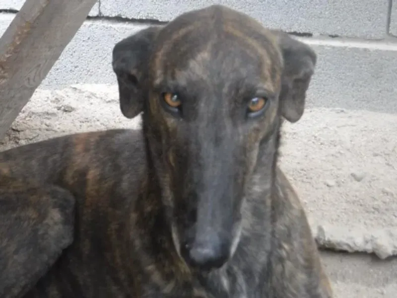 K640 18699550 1560594480619374 7829252768836194106 o 1