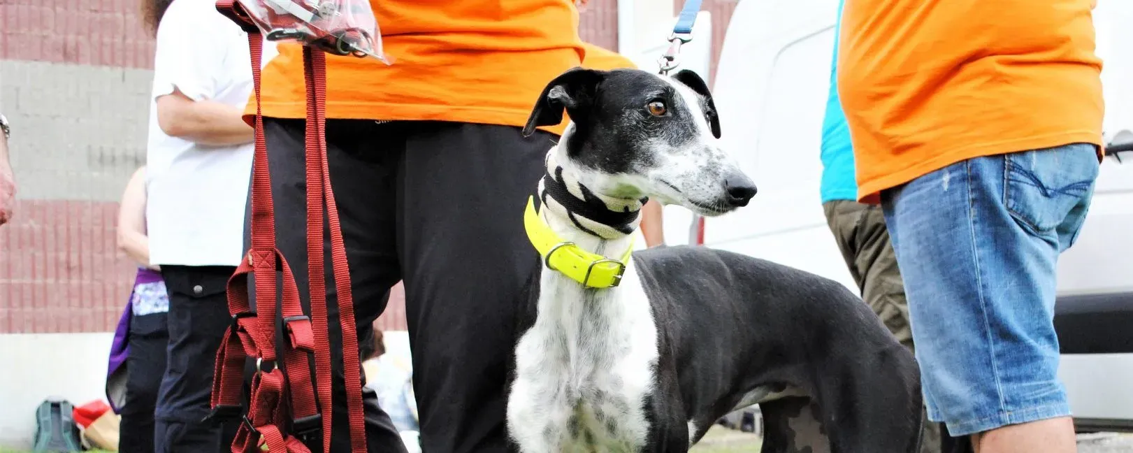 KATA301 e1539780823887