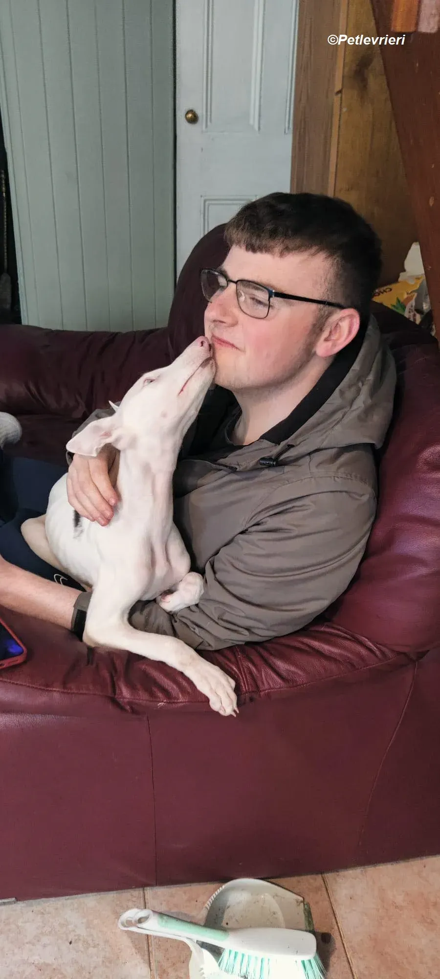 Keller adozione levrieri greyhound 11