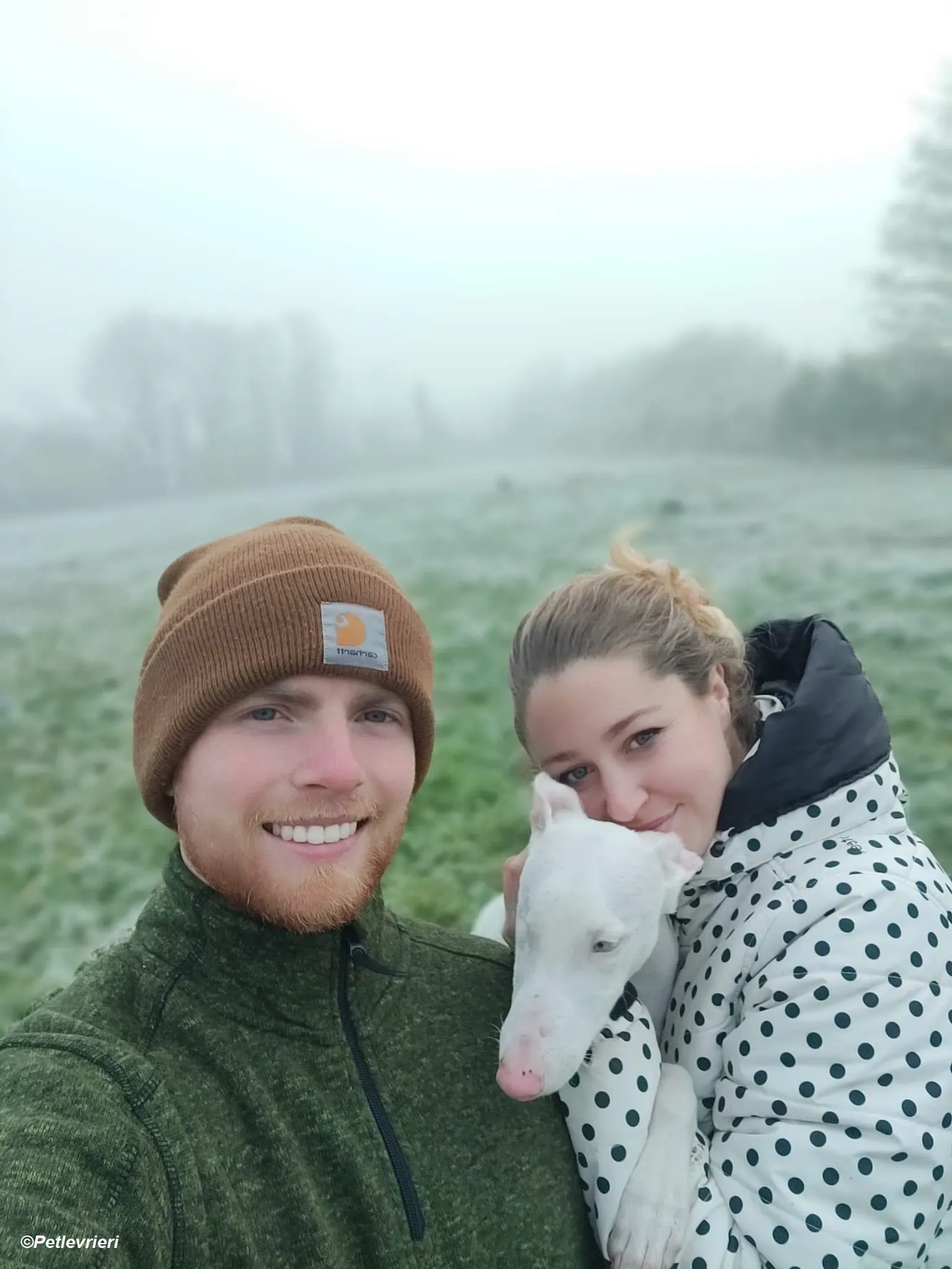 Keller adozione levrieri greyhound 28