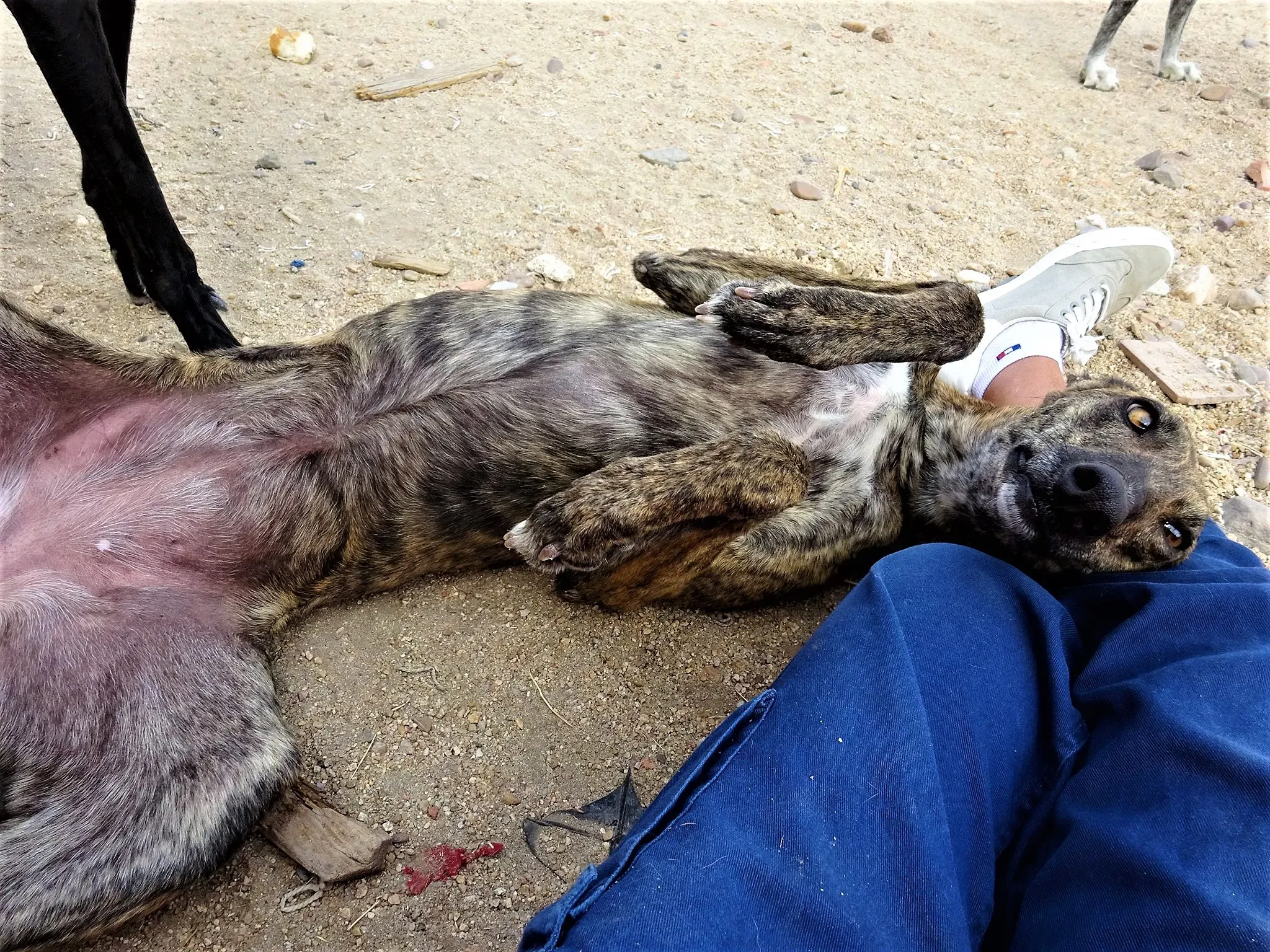 LENA fb aug 21 2019 colore