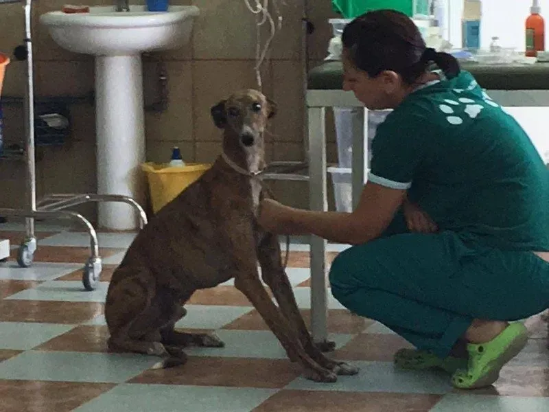 LOLO15 e1475917749511