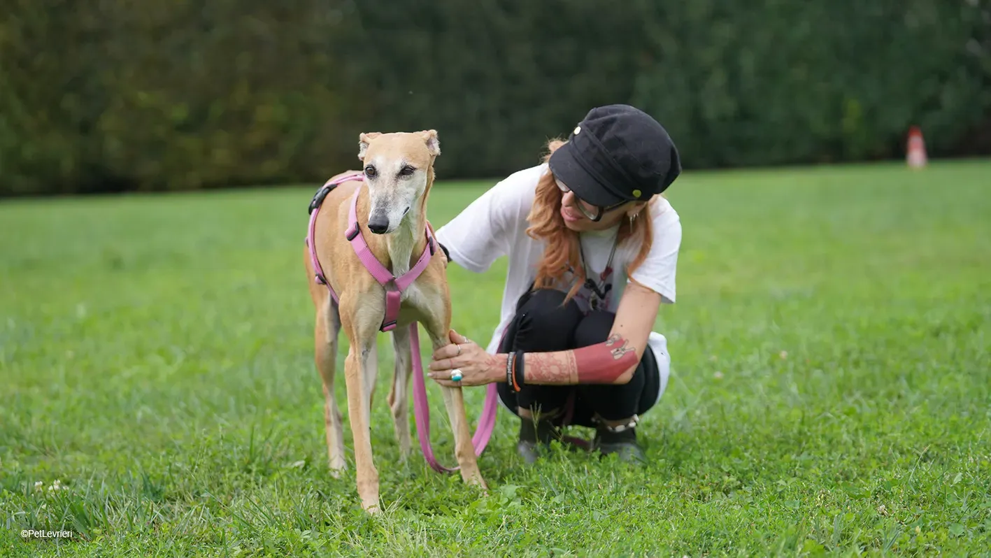 LUDMILA PetLevrieri arrivo galgo 16settembre 27