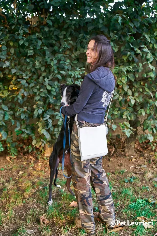 Lenu adozione levrieri galgo 26